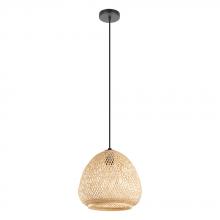 Eglo Canada - Trend 43261A - Dembleby 1-Light Pendant