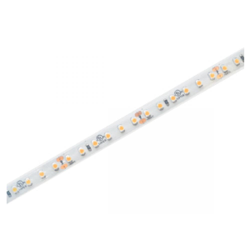 LED Tape 2.9W 24V 40K Dim 65.6 FT 120° 120 LEDs/meter