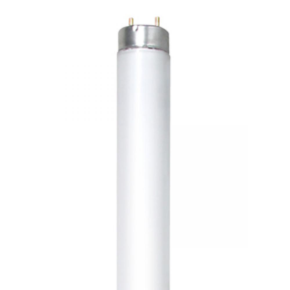 FLUORESCENT SAFETY MAX LINEAR FULL SPECTRUM T8 32W 5700K RAPID START (RS ) MED BIPIN G13 25 PACK STD