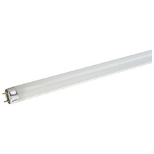 Stanpro (Standard Products Inc.) 67001 - LED lamps T8 36IN G13 Base 11W 35K 1600LM 120-277/347V Glass STANDARD