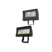 Stanpro (Standard Products Inc.) FLG-LS2-W/50K - FLOOD 11200L LED 120-277 BZ 50K TR