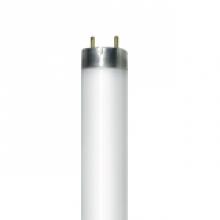 Stanpro (Standard Products Inc.) 10589 - FLUORESCENT LINEAR EUROPEAN T8 36W 4100K RAPID START (RS) MED BIPIN G13 RADIUM