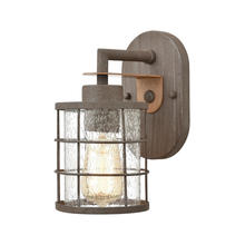 ELK Home Plus 18363/1 - VANITY LIGHT