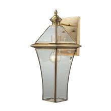 ELK Home Plus 22031/1 - Riverdale 1-Light Outdoor Wall Lamp in Brushed Brass