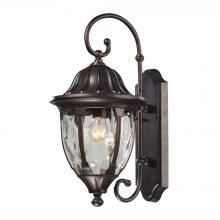 ELK Home Plus 45003/1 - SCONCE