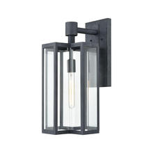 ELK Home Plus 45166/1 - EXTERIOR WALL SCONCE