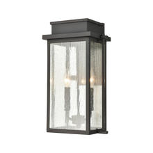 ELK Home Plus 45441/2 - Braddock 2-Light Outdoor Sconce in Architectural Bronze with Seedy Glass Enclosure