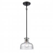 ELK Home Plus 67915/1 - Orinoco 8'' Wide 1-Light Mini Pendant - Matte Black