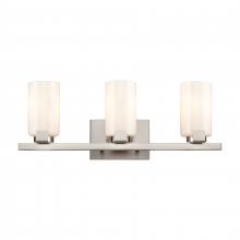 ELK Home Plus EC89914/3 - Dressler 22'' Wide 3-Light Vanity Light - Brushed Nickel