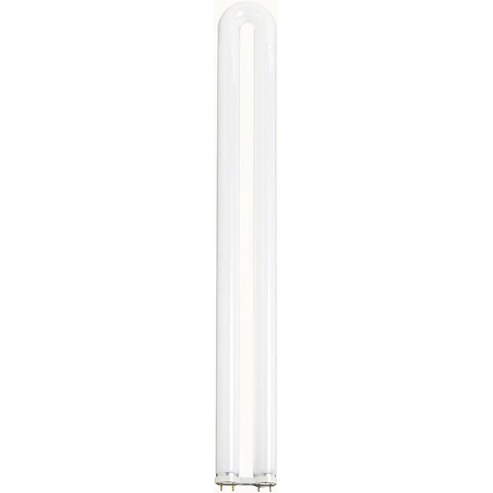 31 Watt; T8; U-Bend Fluorescent; 4100K Cool White; 82 CRI; Medium Bi Pin base