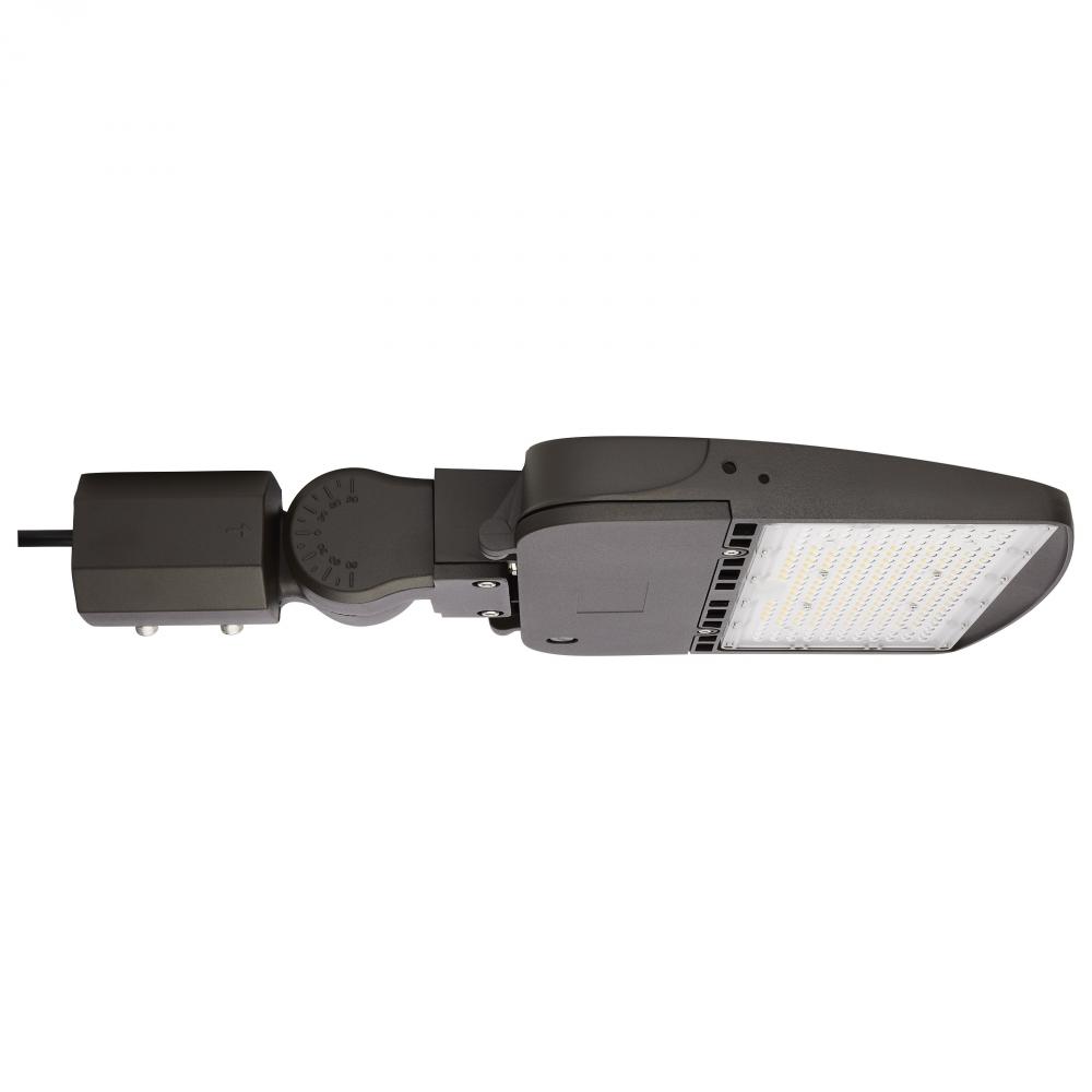 LED Area Light Type V; 150W; Bronze Finish; 5000K; 120-277V