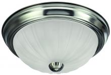 Canarm IFM31351N - IFM31351 BPT, 2 Light Flush Mount, Pewter Finish