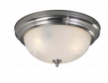 Canarm IFM411BN - IFM411BN, 2 Light Flush Mount, Nickel Finish