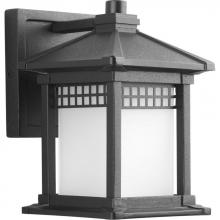 Progress P6000-31 - P6000-31 1-100W MED WALL LANTERN