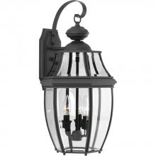 Progress P6612-31 - P6612-31 3-60W CAND WALL LANTERN