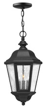 Hinkley Canada 1672BK-LL - Medium Hanging Lantern