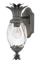 Hinkley Canada 2126MB - Medium Wall Mount Lantern