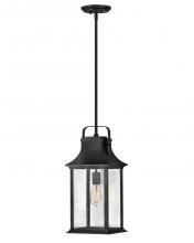 Hinkley Canada 2392TK - Medium Hanging Lantern