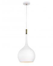 Hinkley Canada 4457CI - Medium Pendant