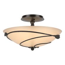 Hubbardton Forge - Canada 126712-SKT-14-SS0048 - Forged Leaves Semi-Flush