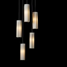 Hubbardton Forge - Canada 131124-SKT-STND-86-GG0065 - Exos Glass 5-Light Pendant