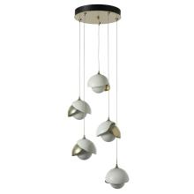 Hubbardton Forge - Canada 131125-SKT-STND-86-02-GG0711 - Brooklyn 5-Light Double Shade Pendant