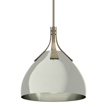 Hubbardton Forge - Canada 134502-SKT-MULT-84-85 - Summit Pendant