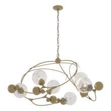 Hubbardton Forge - Canada 136421-SKT-86-LL0639 - Sprig Circular Pendant