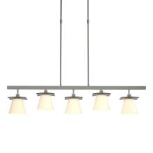 Hubbardton Forge - Canada 136605-SKT-LONG-82-GG0242 - Wren 5 Light Pendant