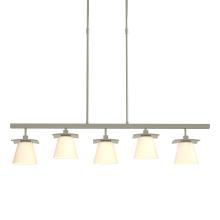 Hubbardton Forge - Canada 136605-SKT-LONG-85-GG0242 - Wren 5 Light Pendant