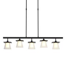 Hubbardton Forge - Canada 136605-SKT-STND-10-ZU0284 - Wren 5 Light Pendant