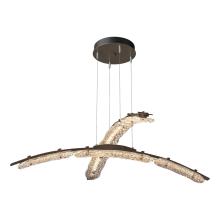 Hubbardton Forge - Canada 137587-LED-STND-05-ZM0749 - Glissade Double Large LED Pendant