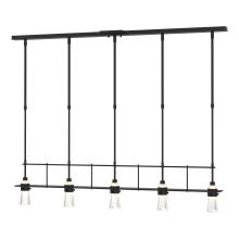 Hubbardton Forge - Canada 137725-SKT-STND-10-ZM0343 - Erlenmeyer 5 Light Pendant