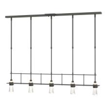 Hubbardton Forge - Canada 137725-SKT-STND-20-ZM0343 - Erlenmeyer 5 Light Pendant