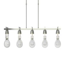 Hubbardton Forge - Canada 137810-SKT-LONG-85-ZM0572 - Apothecary Pendant