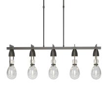 Hubbardton Forge - Canada 137810-SKT-SHRT-07-ZM0572 - Apothecary Pendant