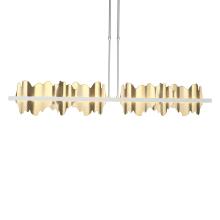 Hubbardton Forge - Canada 139652-LED-SHRT-82-86 - Hildene Large LED Pendant