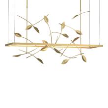 Hubbardton Forge - Canada 139756-LED-LONG-86 - Autumn LED Pendant