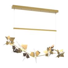 Hubbardton Forge - Canada 139813-LED-STND-86-05-CR - Belladonna LED Pendant