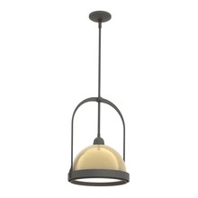 Hubbardton Forge - Canada 187462-SKT-MULT-20-86 - Atlas Small Pendant