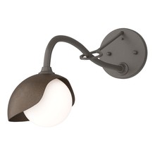 Hubbardton Forge - Canada 201376-SKT-07-05-GG0711 - Brooklyn 1-Light Single Shade Long-Arm Sconce