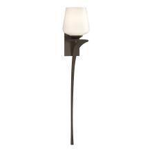 Hubbardton Forge - Canada 204710-SKT-RGT-05-GG0236 - Antasia Single Glass 1 Light Sconce