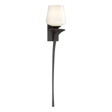 Hubbardton Forge - Canada 204710-SKT-RGT-14-GG0236 - Antasia Single Glass 1 Light Sconce