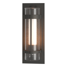 Hubbardton Forge - Canada 305898-SKT-20-ZS0656 - Torch Large Outdoor Sconce