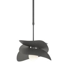 Hubbardton Forge - Canada 369455-SKT-SHRT-20 - Hibiscus Outdoor Pendant