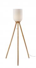 AFJ - Adesso 1630-12 - Kinsley Floor Lamp