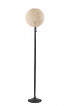 AFJ - Adesso 4304-12 - Havana Floor Lamp