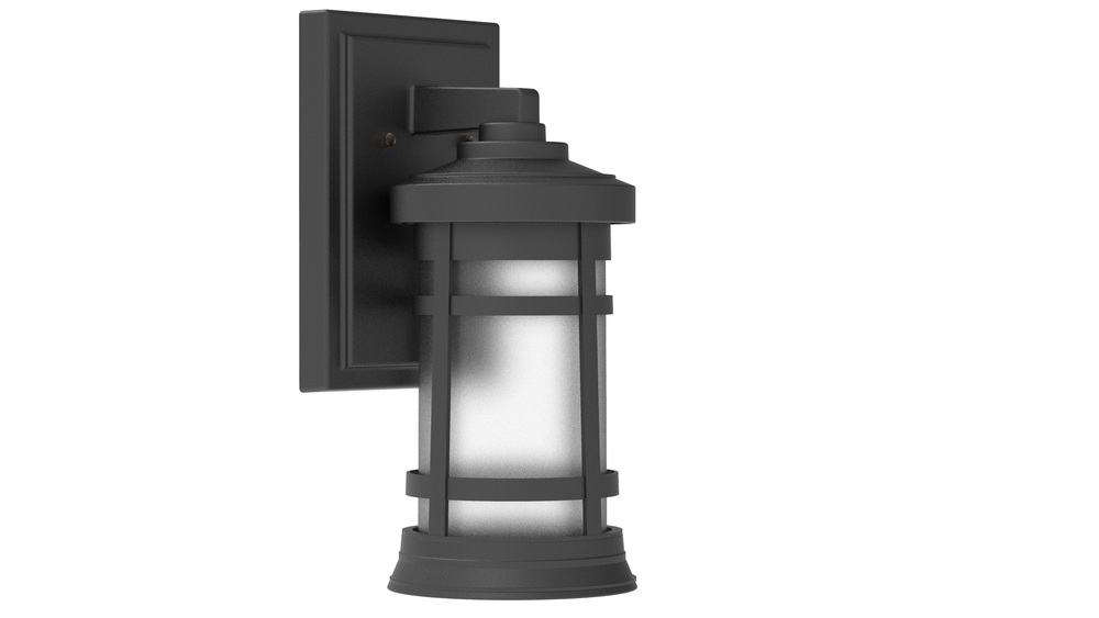 Resilience 1 Light Small Outdoor Wall Lantern in Textured Black